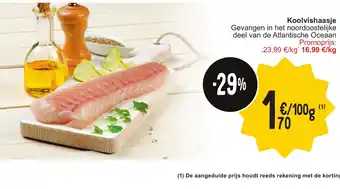 Cora Koolvishaasje aanbieding