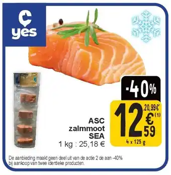 Cora ASC zalmmoot SEA aanbieding