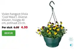 Intratuin Violen hangpot viola cool wave aanbieding