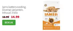 Intratuin lams kattenvoeding aanbieding