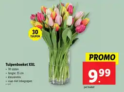 Lidl Tulpenboeket XXL aanbieding