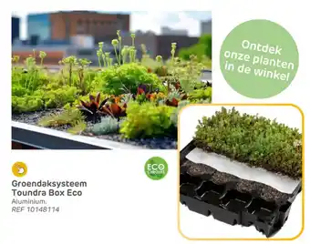 Brico Groendaksysteem Toundra Box Eco aanbieding