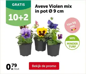 AVEVE Aveve Violen mix in pot Ø 9 cm aanbieding