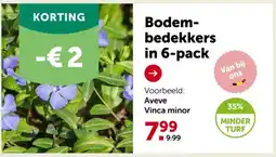 AVEVE Bodem- bedekkers in 6-pack aanbieding