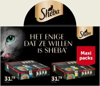 AVEVE Sheba aanbieding