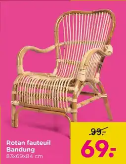 Xenos Rotan fauteuil Bandung aanbieding