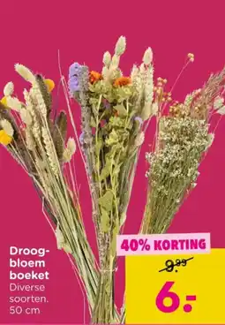 Xenos Droogbloem Boeket aanbieding