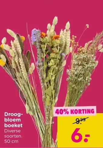 Xenos Droogbloem Boeket aanbieding