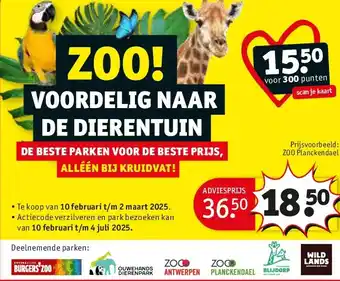 Kruidvat ZOO Planckendael aanbieding