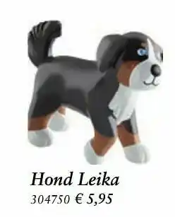 Hond leika