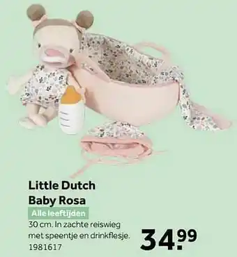 Little dutch baby rosa