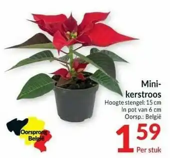 Intermarché Mini- kerstroos aanbieding
