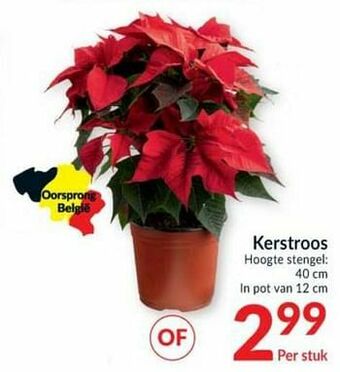 Intermarché Kerstroos aanbieding