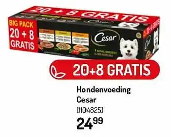 Hondenvoeding cesar