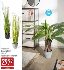 ALDI Home creation Kunstplant aanbieding