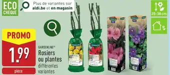 ALDI Gardenline rosiers ou plantes aanbieding