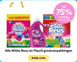 Plein.nl Alle Witte Reus en Fleuril grootverpakkingen aanbieding