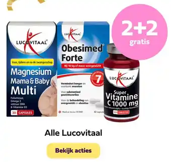 Plein.nl Alle Lucovitaal aanbieding