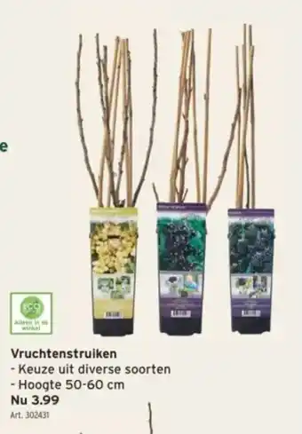 GAMMA Vruchtenstruiken aanbieding