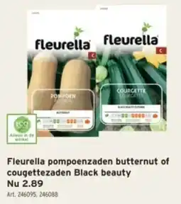 GAMMA Fleurella pompoenzaden butternut of cougettezaden Black beauty aanbieding