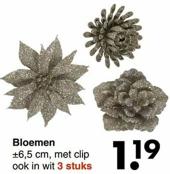 Bloemen