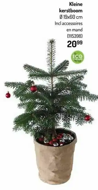 Kleine kerstboom