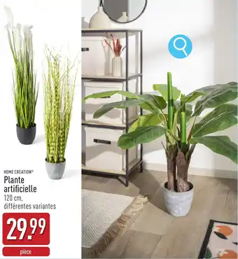 ALDI Home creation plante artificielle aanbieding