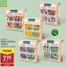 ALDI Gardenline bulbes de fleurs vivaces aanbieding