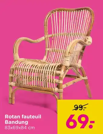 Xenos Rotan fauteuil Bandung aanbieding