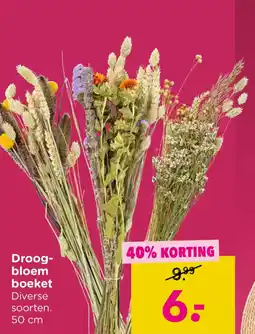 Xenos Droog bloem boeket aanbieding