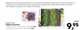 Hanos Koppert cress eetbare bloemen aanbieding