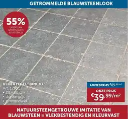 Zelfbouwmarkt VLOERTEGEL BINCHE aanbieding