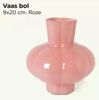 Xenos Vaas bol aanbieding