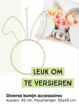 Xenos Diverse konijn accessoires aanbieding