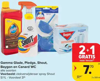 Carrefour Gamma Glade, Pledge, Shout, Baygon en Canard WC aanbieding