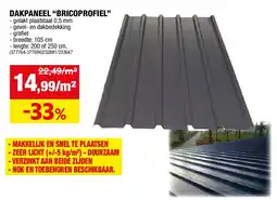 Hubo DAKPANEEL “BRICOPROFIEL” aanbieding