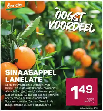 Ekoplaza Sinaasappel lanelate aanbieding