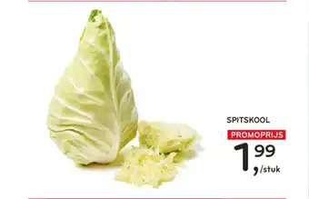 Alvo Spitskool aanbieding