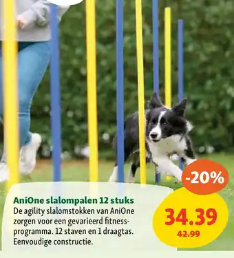 Maxi Zoo AniOne slalompalen 12 stuks aanbieding