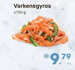 Bon Ap Varkensgyros aanbieding