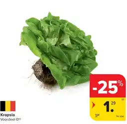 Carrefour Kropsla aanbieding