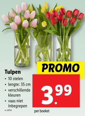 Lidl Tulpen aanbieding