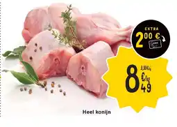 Cora Heel konijn aanbieding