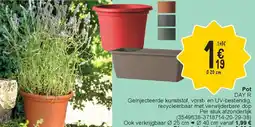 Cora Pot aanbieding