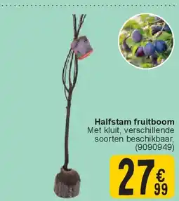 Cora Halfstam fruitboom aanbieding