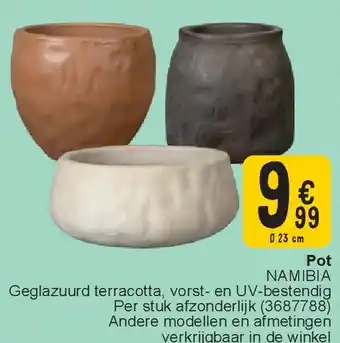 Cora Pot aanbieding