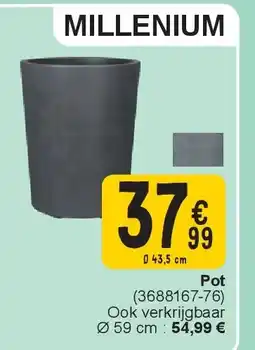 Cora Pot aanbieding