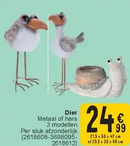 Cora Dier aanbieding