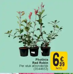 Cora Photinia Red Robin aanbieding