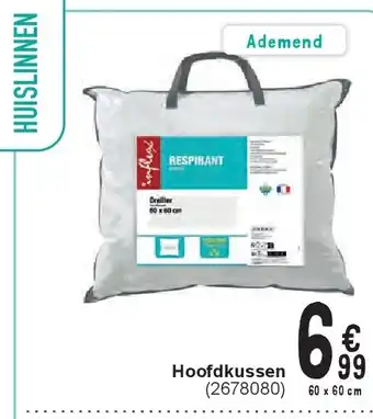 Cora H oofdkussen aanbieding